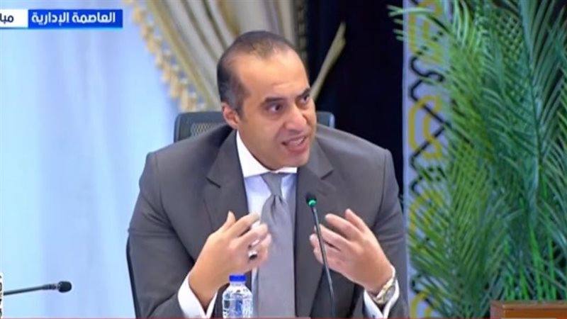 المستشار محمود فوزي