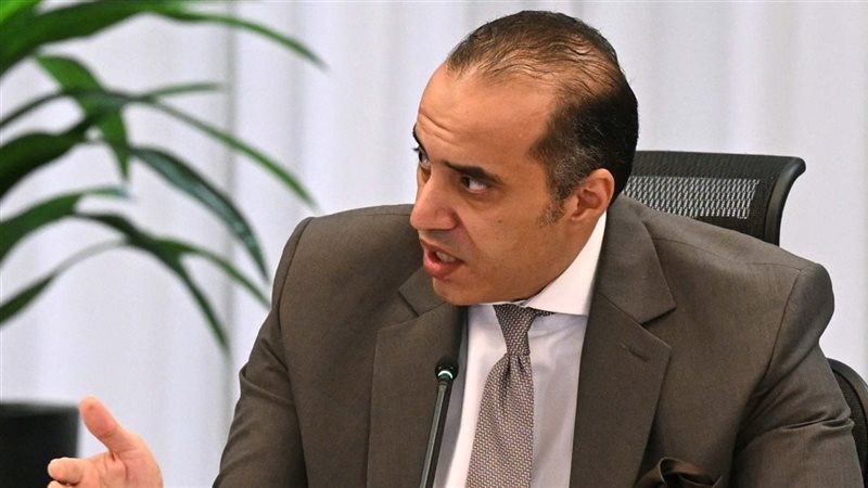 المستشار محمود فوزي