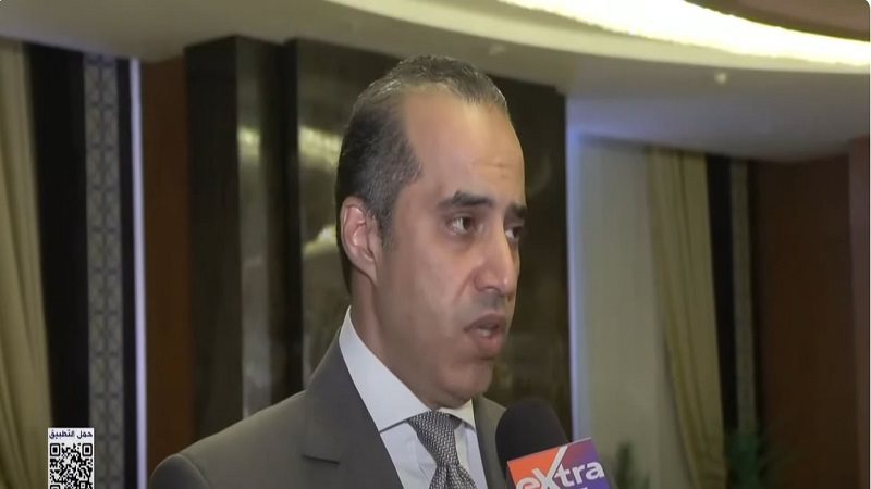 المستشار محمود فوزي