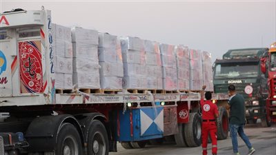 تواصل تدفق المساعدات الإنسانية المصرية إلى غزة عبر معبر كرم أبو سالم