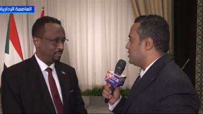 خالد الأعصر: القضايا السودانية المصرية تعبر عن مصير مشترك|فيديو 