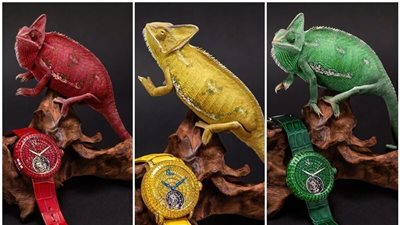 لونها يتغير مع كل ساعة.. الحرباء نجمة حملة Jacob & Co