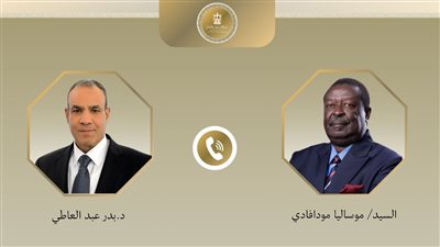 وزير الخارجية يتلقى اتصالًا هاتفيًا من نظيره الكيني لبحث سبل تعزيز العلاقات