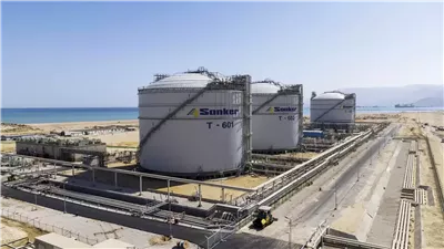 أسامة الشريف: نعمل على تحويل مصر إلى مركز إقليمي للطاقة ومشاريعنا طويلة الأمد