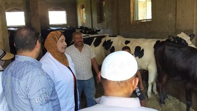 الخدمات البيطرية بالسويس تُكثف جهودها لحماية الصحة وتنمية الثروة الحيوانية