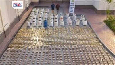 ضبط عنصرين شديدي الخطورة بالإسماعيلية بحوزتهما مخدرات بـ255 مليون جنيه