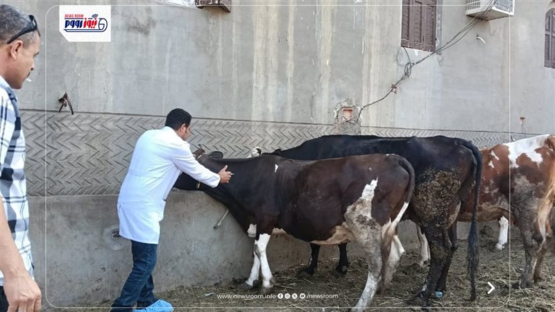 تحصين الماشية