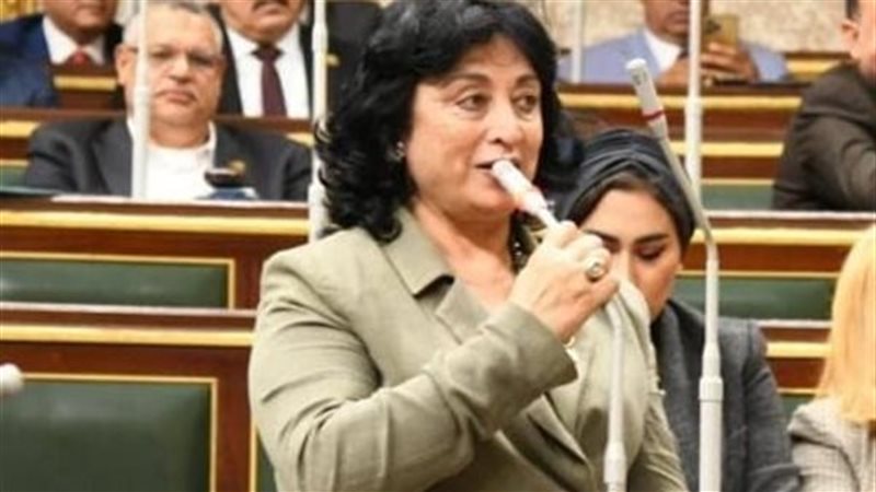 النائبة ميرفت عازر