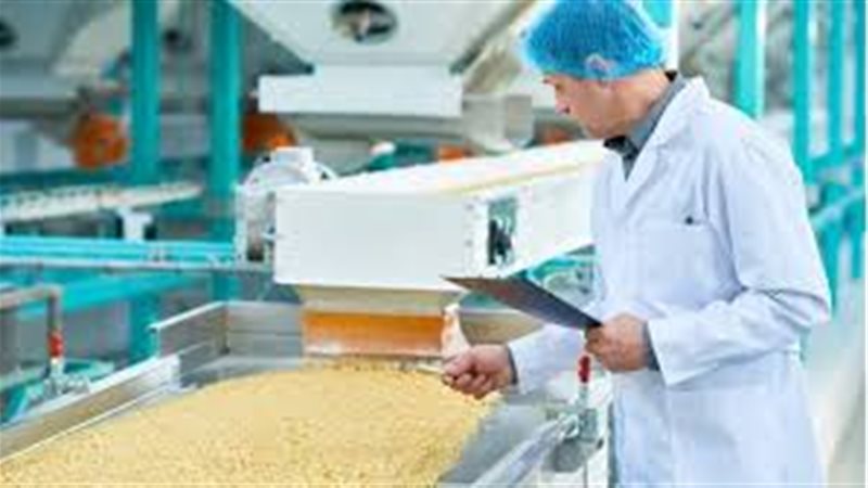 تصنيع المواد الغذائية