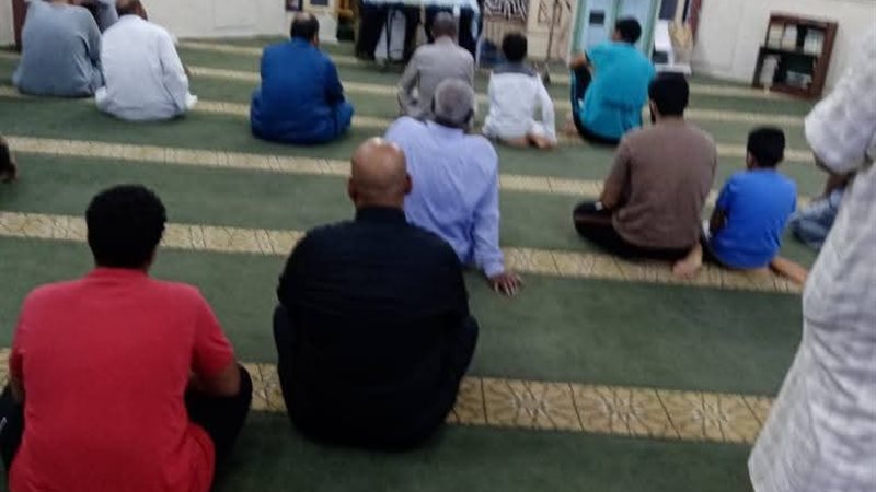 جانب من المجالس