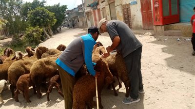 تقديم خدمات طبية متكاملة لـ 350 مواطنًا في قافلة مجانية بكوم القناطر بالبحيرة