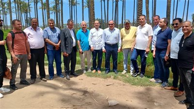 للحد من السحابة السوداء.. 