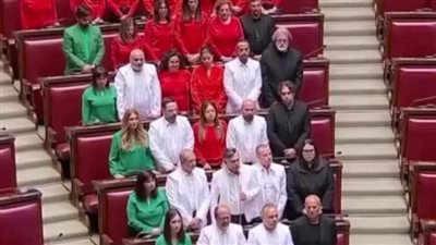 ألوان العلم الفلسطيني.. البرلمان الإيطالي يرفض تواطؤ الحكومة في حرب إبادة غزة