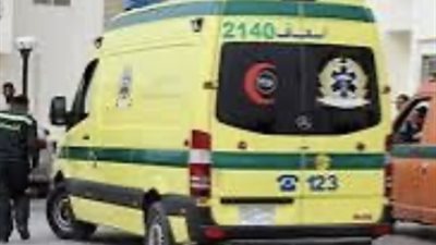 إصابة عاملين باختناق إثر سقوطهما داخل بلاعة صرف صحي بميت غمر بالدقهلية