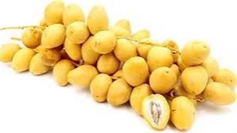 البلح الأصفر
