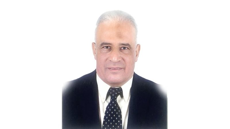 مهندس محمد امام خبير