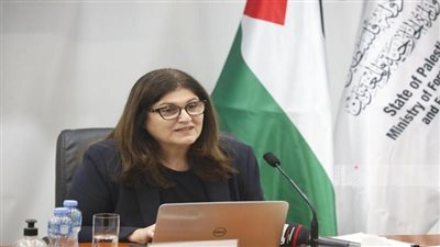 فارسين شاهين الفيتو الأمريكي يعيق تحركات مجلس الأمن وقف في غزة| فيديو