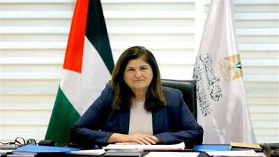 فارسين شاهين تكشف تحديات وقف العدوان الإسرائيلي على غزة| فيديو