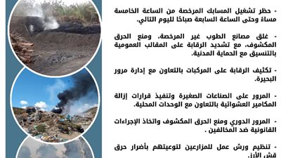 وقف تشغيل الصناعات الملوثة وتكثيف الرقابة.. البحيرة تحارب تلوث الهواء