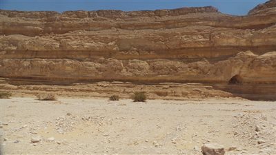 سقطن من حسابات الحكومة.. ضحايا زواج السُنة بقنا يقعن في ـزمة إثبات النسب