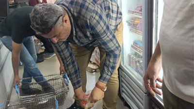 إعدام 55 كجم من الأغذية غير صالحة للاستهلام الآدمي خلال حملة بدمياط