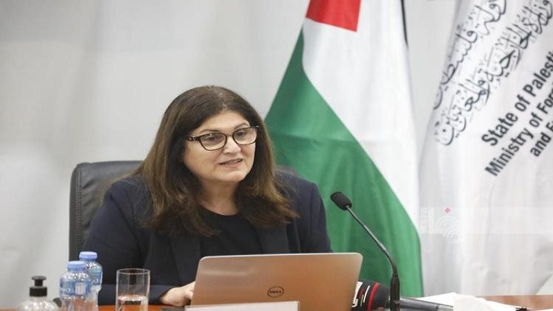 السفيرة فارسين شاهين