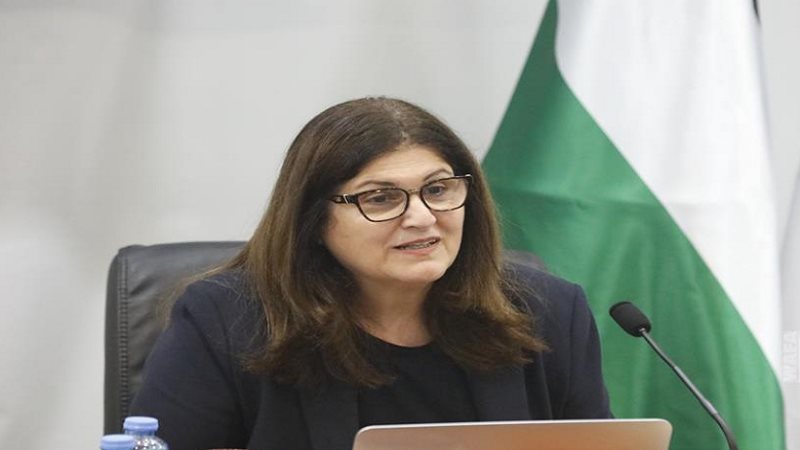السفيرة فارسين شاهين