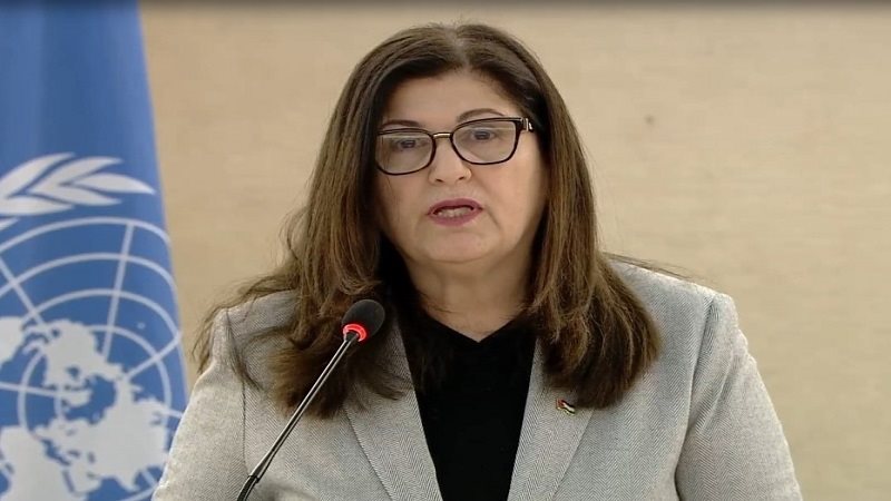 السفيرة فارسين شاهين