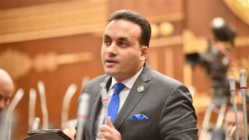 عمرو فهمي