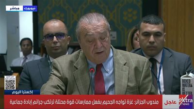 مندوب الجزائر بمجلس الأمن: لا لاحتلال غزة.. ونعم للمحاسبة الدولية