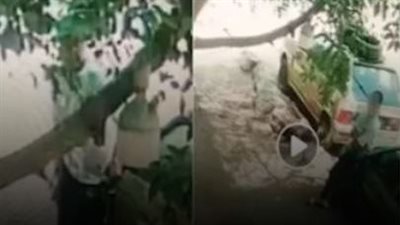 غضب في البساتين.. عامل يكسر مرايات سيارتين بسبب ركنة والأمن يضبط المتهم  