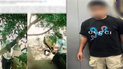 خلاف على أولوية الركن يتحول إلى تكسير مرايات سيارات في البساتين