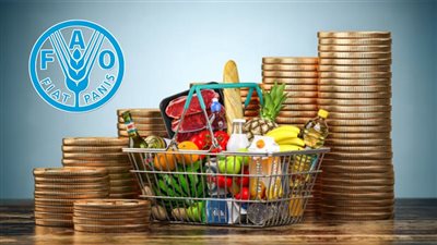 إبراهيم درويش يكشف أسباب وصول أسعار الغذاء العالمية لأعلى مستوى| فيديو