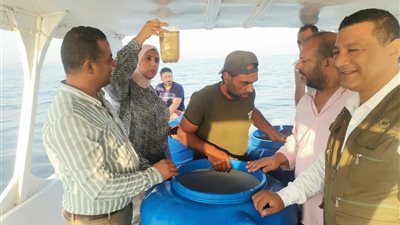 «جهاز حماية البحيرات»: دعم بحيرة قارون بيرقات الجمبري لتعزيز خطط إحياء البحيرة