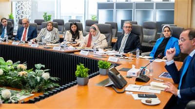 وزير المالية : الشراكة مع القطاع الخاص منصة لدعم التنمية القارية 