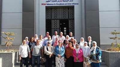 «الزراعة»: تجديد اعتماد المعمل المرجعي للرقابة على الإنتاج الداجني