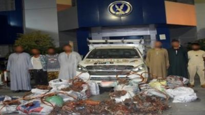 السائق العقل المدبر والخيانة من الداخل.. ضبط عصابة سرقة سيارة النحاس بالجيزة