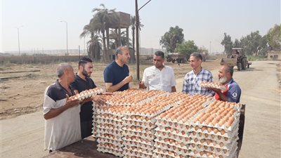 سكرتير عام بنى سويف يتفقد سير العمل بمشروعات الدواجن المركزية