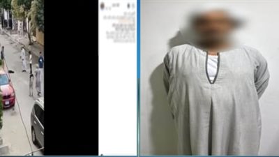 ضربه حتى الموت.. ضبط حارس عقار قتل كلبًا بعصا خشبية في أكتوبر