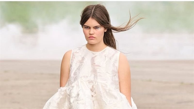 مجموعة الدنماركية