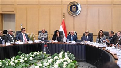 كامل الوزير: نحرك ملف التشوهات الجمركية لحماية مصانع زجاج السيارات والبيليت