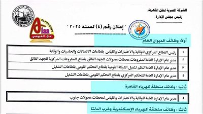 المصرية لنقل الكهرباء