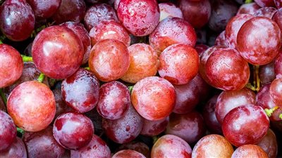 الريسفيراترول.. سر العنب الأحمر في محاربة الشيخوخة والأمراض المزمنة