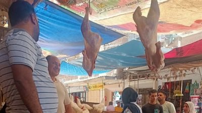 ضبط لحوم مجهولة المصدر وتحرير محاضر للمخالفين في حملة تموينية بكفر الشيخ