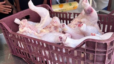 محافظ المنوفية: تحرير 60 محضر مخالفات وضبط 2 طن زيت مجهول المصدر بالباجور 