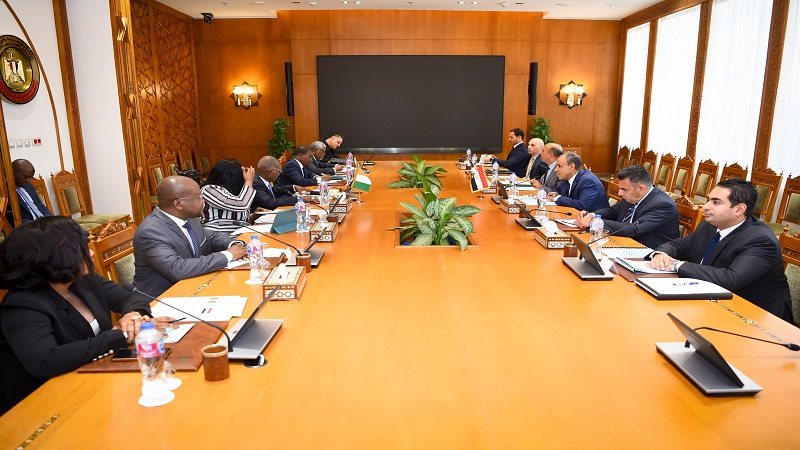 مباحثات القاهرة وأبيدجان