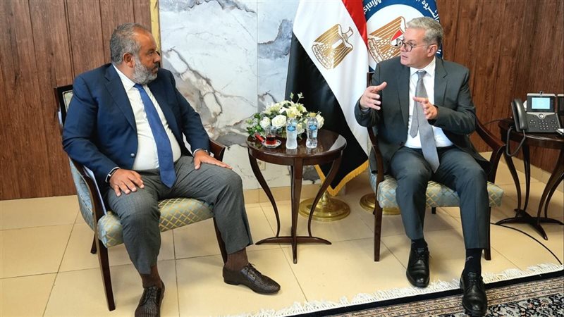 وزير البترول والثروة