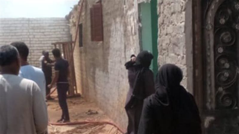 ارشيفية