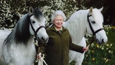 بعد خدمة العائلة المالكة لمدة 14 عاماً.. تقاعد حصان الملكة إليزابيث