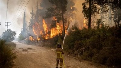 اندلاع حرائق في الغابات والنباتات قرب القدس المحتلة نتيجة احتراق مركبة
